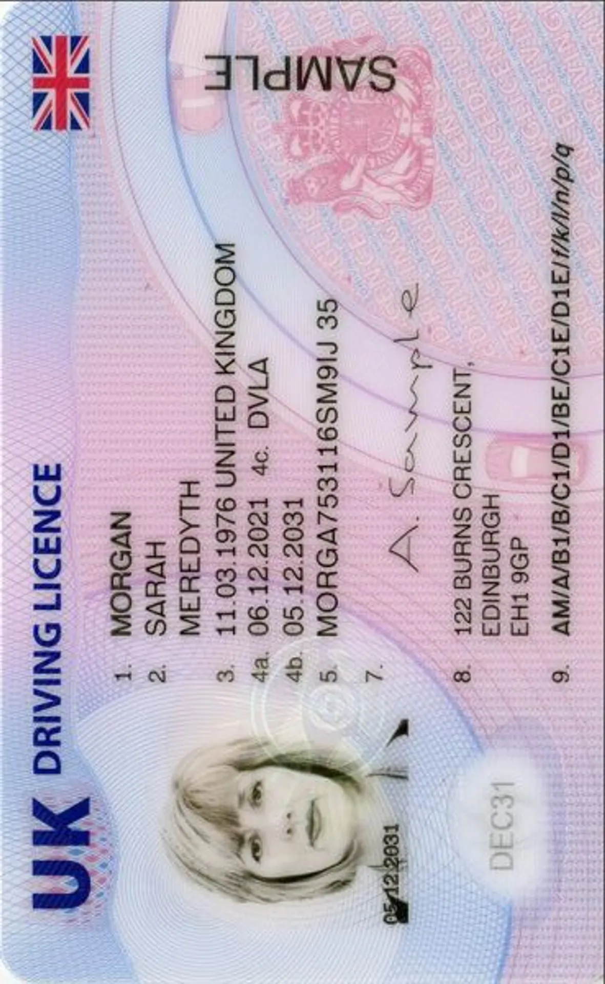 Driving Licence Photo