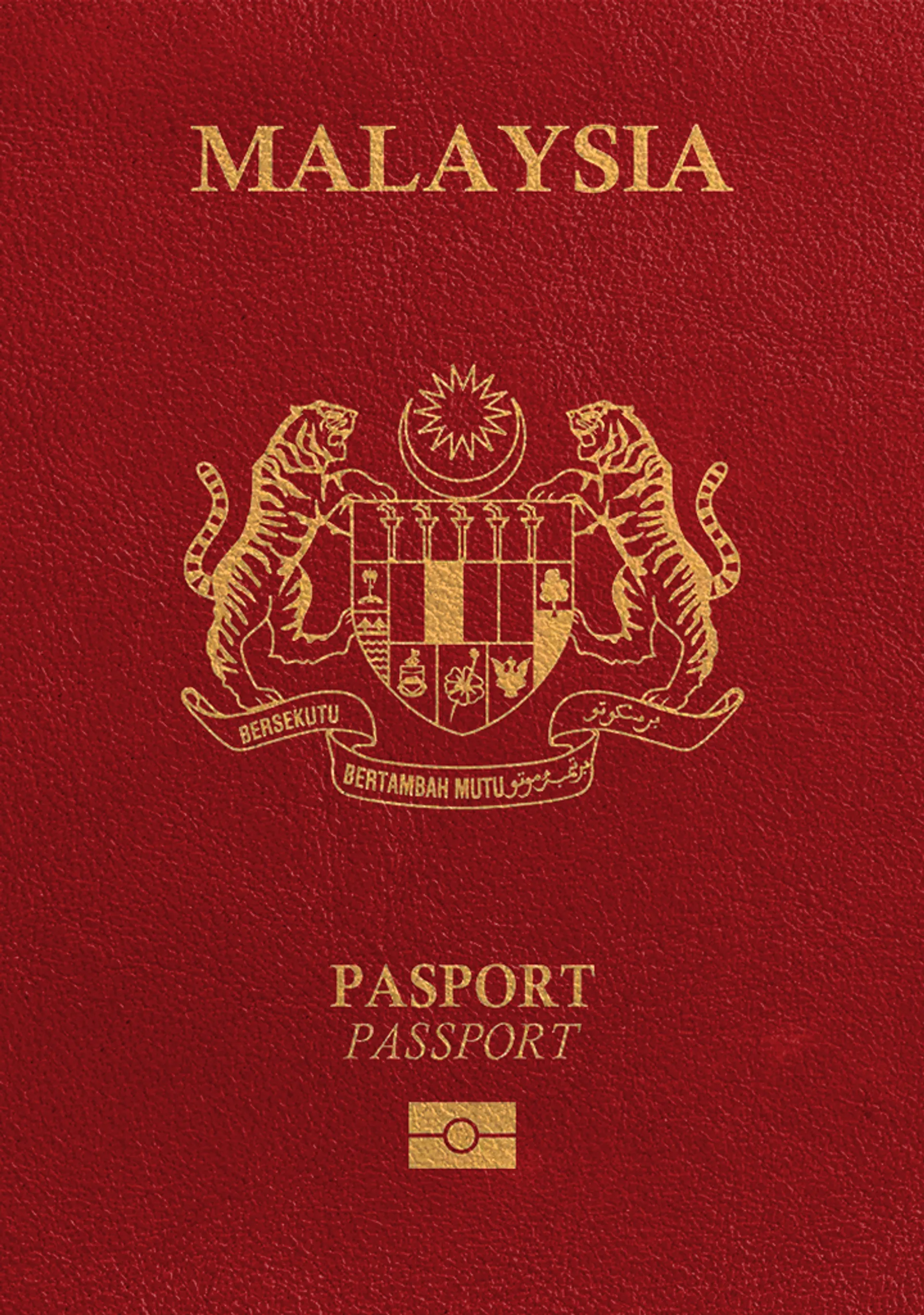 Malaysia Passport Photo