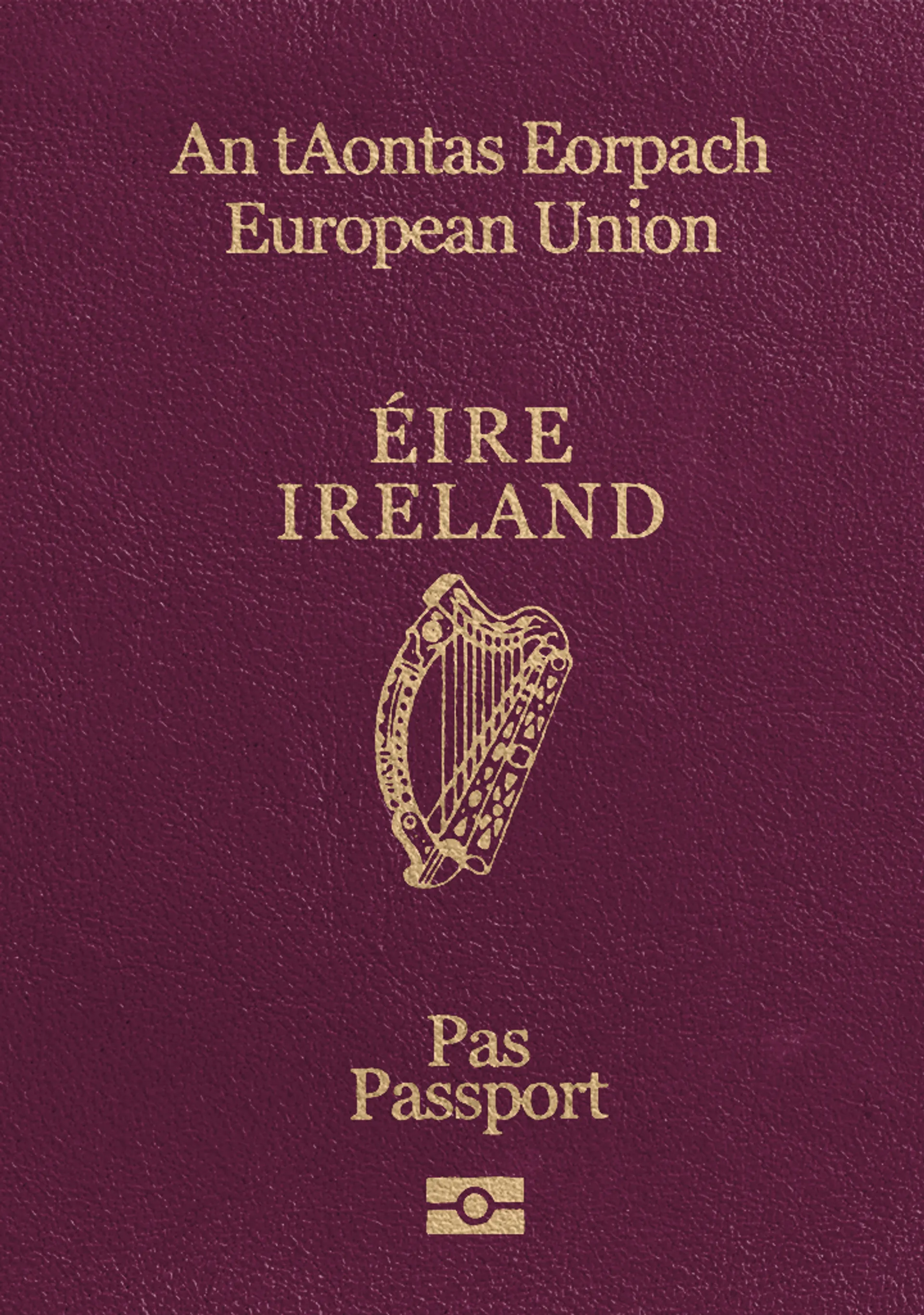Irish Passport Photo Maker